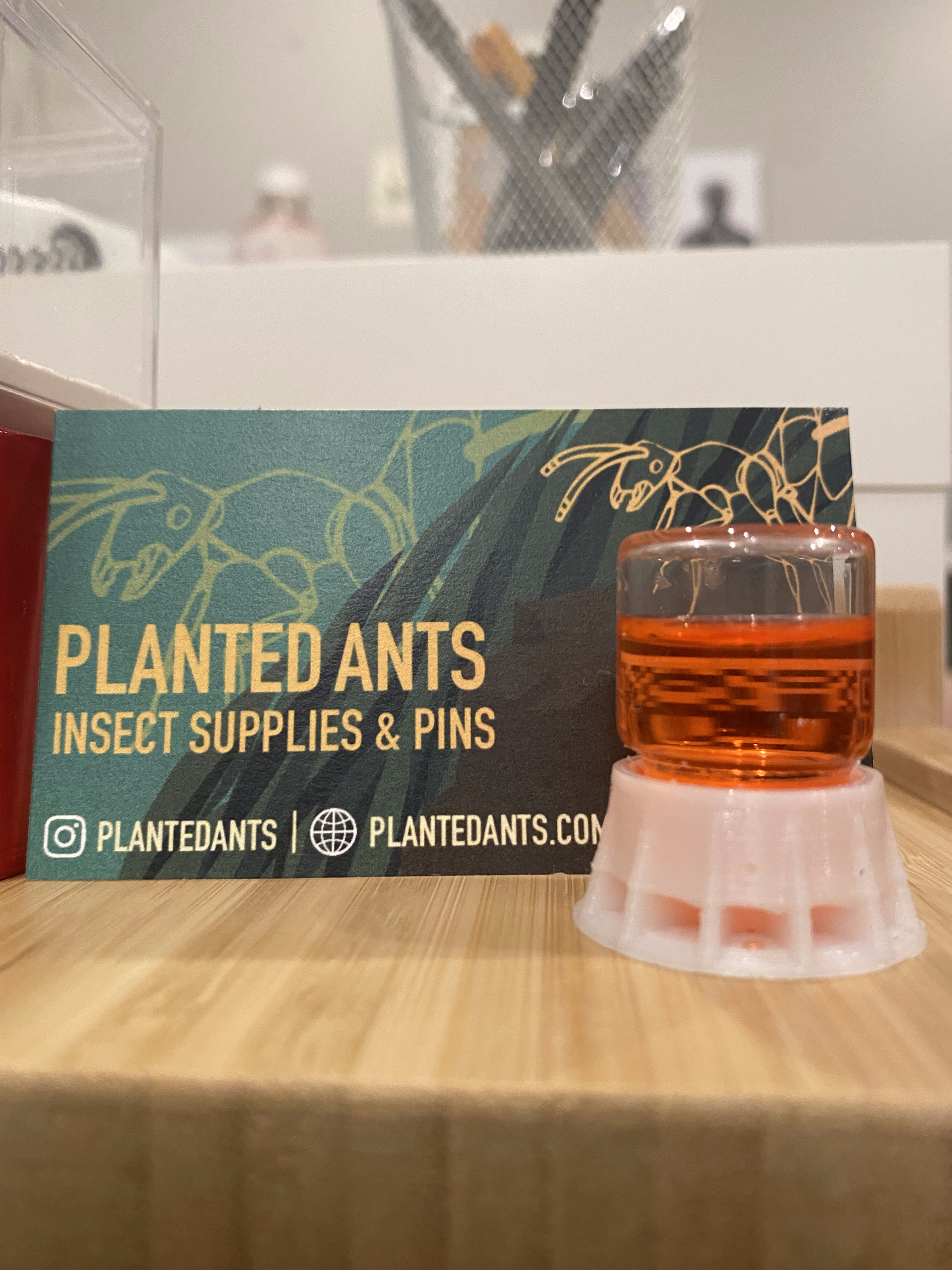 Appleburst Ant Nectar